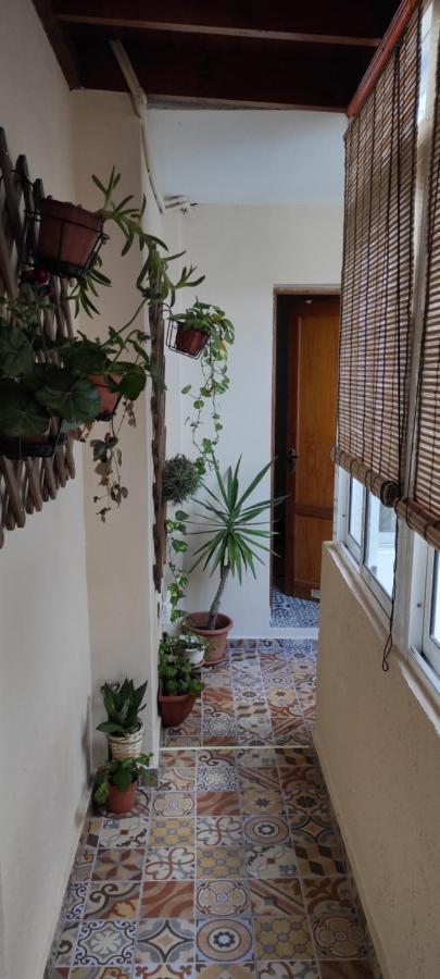 Appartement Atico El Marquito à Santa Cruz de la Palma  Extérieur photo