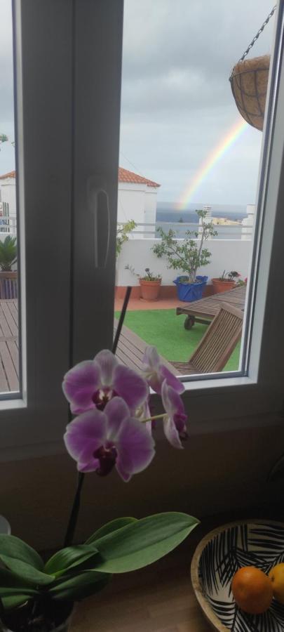 Appartement Atico El Marquito à Santa Cruz de la Palma  Extérieur photo
